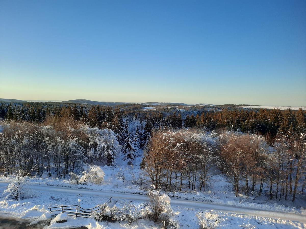 Ferienwohnung Skadi, Hahnenklee Goslar Dış mekan fotoğraf