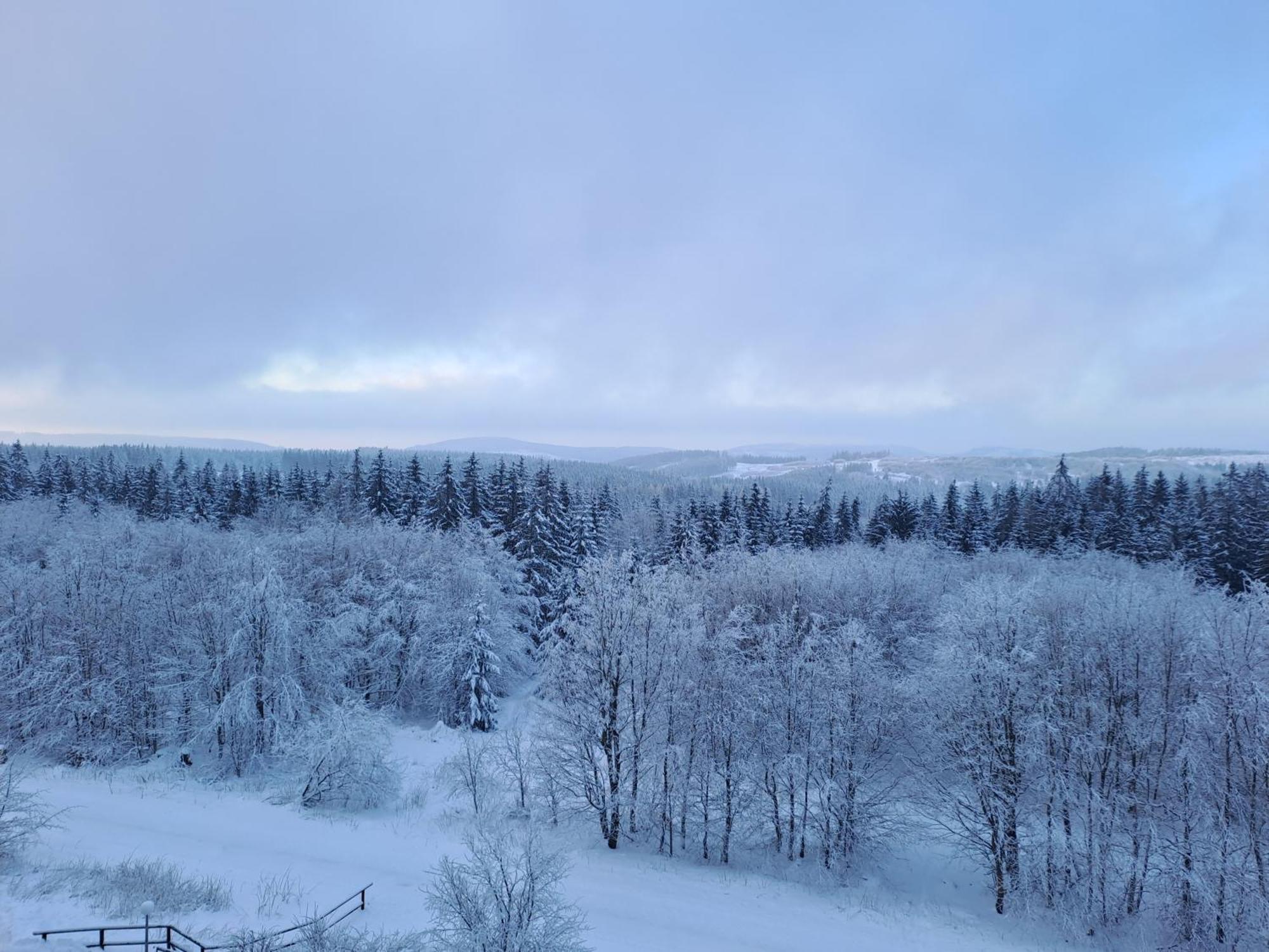 Ferienwohnung Skadi, Hahnenklee Goslar Dış mekan fotoğraf