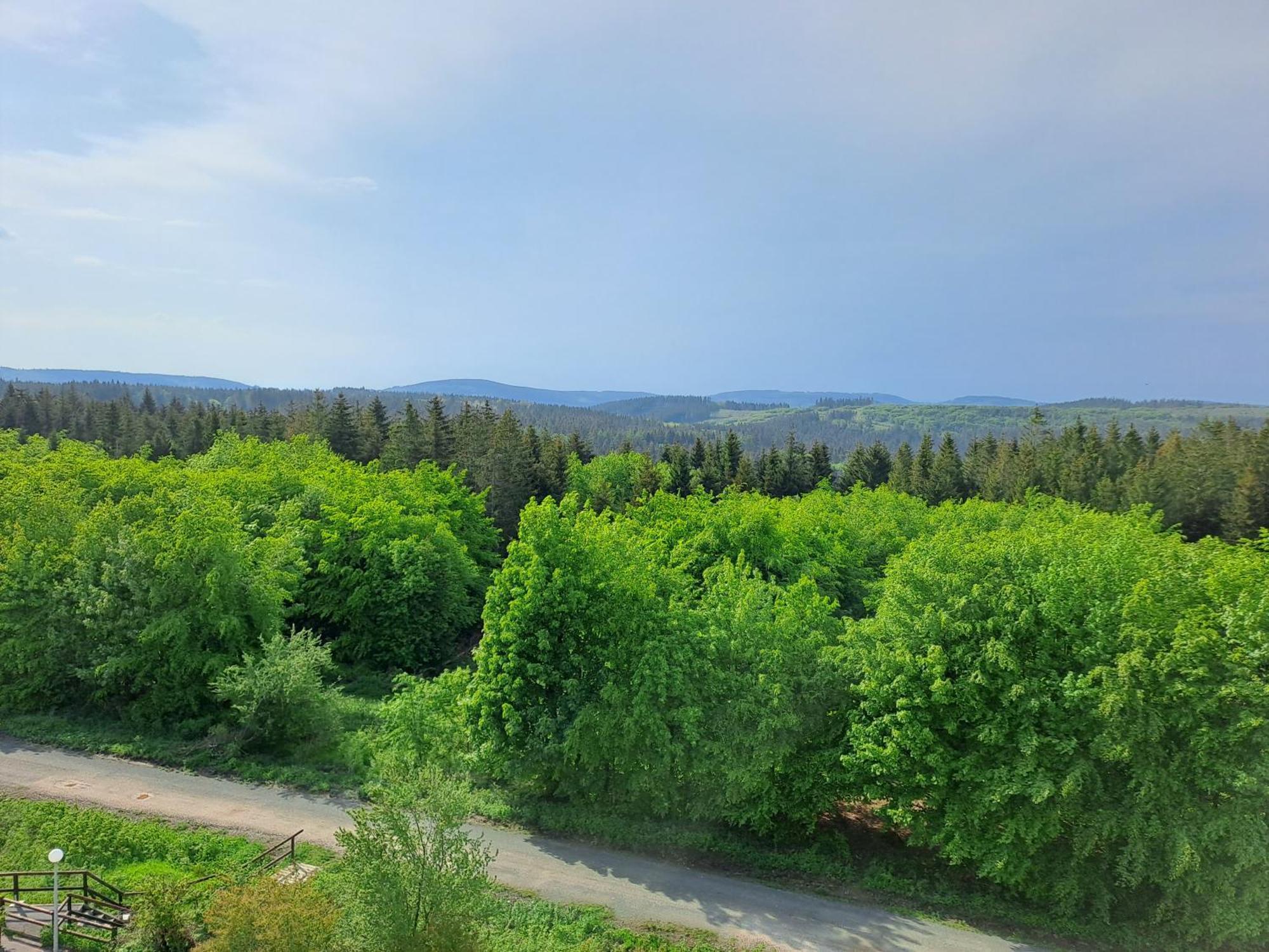 Ferienwohnung Skadi, Hahnenklee Goslar Dış mekan fotoğraf